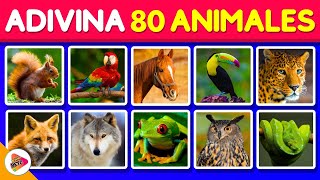 Adivina 80 Animales en 3 Segundos | Test de Animales | TriviaReto✅