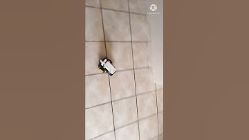 Part 2 of building a Raspberry Pi robot. #robot #raspberrypi #robotics #electronics