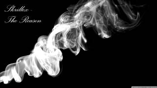 Skrillex - The Reason [NEW HD]