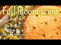 【ENG／JPN】Chamomile flower cake カモミールの花咲く季節に。カモミールのお花のケーキ