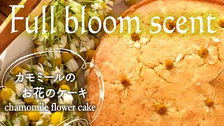 【ENG／JPN】Chamomile flower cake カモミールの花咲く季節に。カモミールのお花のケーキ