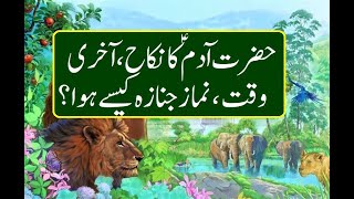 Hazrat Adam Story In Urdu - کیا آپ جانتے ہیں حضرت آدم ؑکا نکاح آخری وقت اورانکی نماز جنازہ کیسے ہوئی