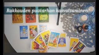 Tarot - Tuleva uusikuu aktivoi uuden syklin rakkaussaralla! 💑