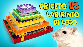 Come Costruire un Labirinto di Lego a 5 livelli per il tuo Criceto! 🐹🧱🎁