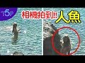 相機拍到！！5個「美人魚可能真的存在的」證據 | 五大奇聞