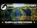 A Journey With Gandalf To Rivendell - Guided Sleep Story Inspired by The Lord of the Rings