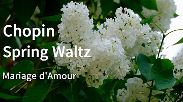 Chopin - Spring Waltz  [ Mariage d'Amour ] 쇼팽 - 스프링 왈츠 [ 마흐마쥬 드아모르 ]