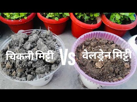 वीडियो: मिट्टी पौधों के लिए क्या प्रदान करती है?