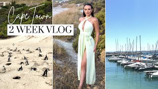 2 WEEK CAPE TOWN VLOG : Wine farms, City & Top attractions