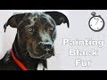 How to Paint Black Hair Dogs in Oil Time Lapse