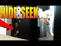 PLAYING HIDE AND SEEK WITH MY DOG KODA (Super Cooper Sunday #127)