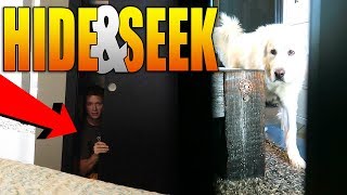 PLAYING HIDE AND SEEK WITH MY DOG KODA (Super Cooper Sunday #127)