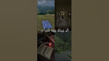 أَلَم يَجِدَكَ يَتيما فاوی | محمد صديق المنشاوي | سورة الضحى