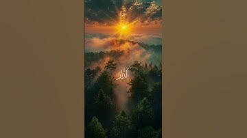 سورة العنكبوت // وَمَا هَٰذِهِ الْحَيَاةُ الدُّنْيَا إِلَّا لَهْوٌ وَلَعِبٌ ۚ