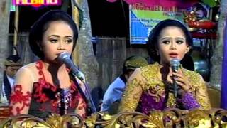 Download Bowo Kutut Manggung,palaran Lajeng Tolak Sengkolo Kroso Nyenyes Neng Ati Video MP3 Bowo Kutut Manggung,palaran Lajeng Tolak Sengkolo Kroso Nyenyes Neng Ati