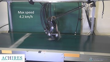 ACHIRES: Bipedal Running Using High-speed Visual Feedback