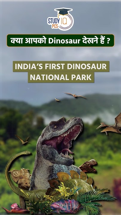 Dinosaur Fossil National Park dinosaurfossils nationalpark shorts dinosaur-fossil-national-park-dinosaurfossils-nationalpark-shorts