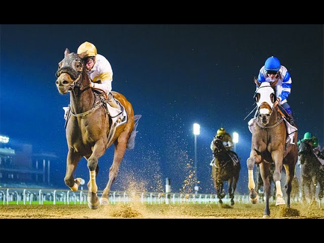 LIVE #DubaiWorldCup 2022 : 9 races, $30.5 million prize money .. watch it all on #DubaiOneTV #DWC22