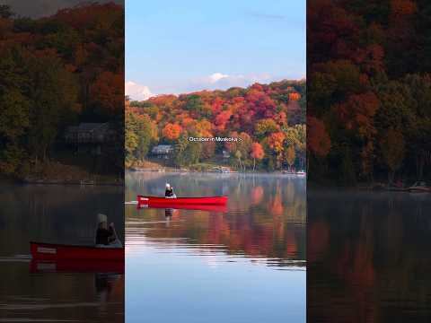 Fall in Muskoka,