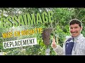 Essaimage  comment rcuprer un essaim  s01e10bis