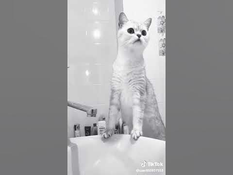 Леди Гага романс - YouTube