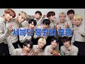 세븐틴 모든 응원법 모음/콘서트•팬미팅 준비/극한 직업 캐럿