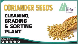 || Coriander Cleaning, sorting & Grading Plant ||Made by Perfect Transforming Technologies Pvt. Ltd.