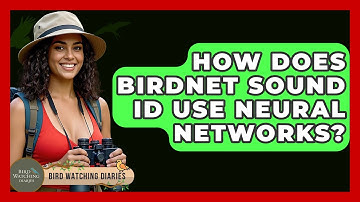 How Does BirdNET Sound ID Use Neural Networks? - Bird Watching Diaries