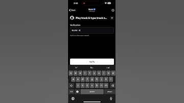 Play track & type track name | Blum Code