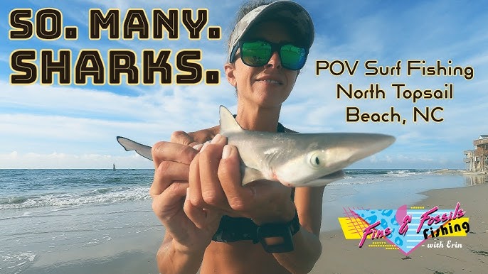 Are There Sharks At Topsail Beach, NC? - Dutch Shark Society