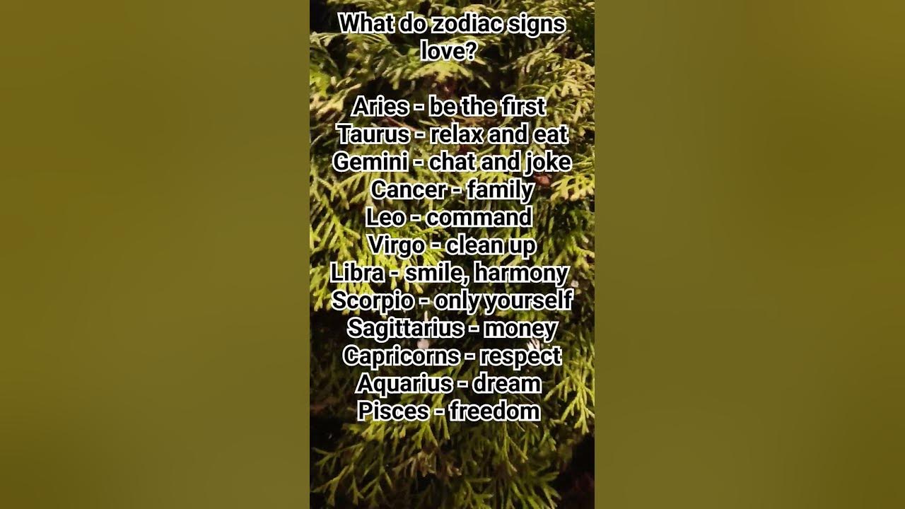 what-do-zodiac-signs-like-youtube