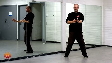 Biu Jee | Wing Chun Kung Fu Third Form | Nim Tao Wing Chun