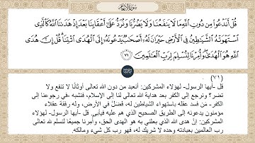 ( قل أندعو من دون الله ما لا ينفعنا ولا يضرنا ونرد على أعقابنا بعد إذ... ) سورة الأنعام ايه رقم 71