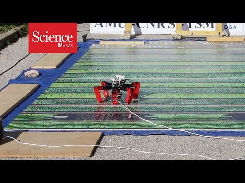 Snippet: Ant-inspired robot can navigate better than civilian GPS