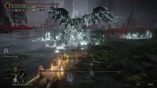 Elden Ring Dlc Death Rite Bird No Damage Taken