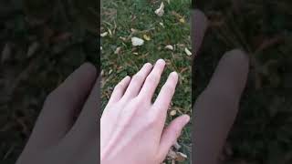 How To Touch Grass...#grass #fortnite #shorts #howto