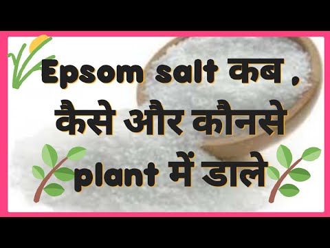 Epsom salt - पौधों के लिए अमृत#कब, कैसे और