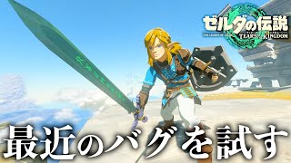 最近のバグを試します。【ゼルダの伝説ティアーズオブザキングダム】