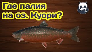 РУССКАЯ РЫБАЛКА 4! ГДЕ И КАК ЛОВИТЬ ПАЛИЮ НА КУОРИ?