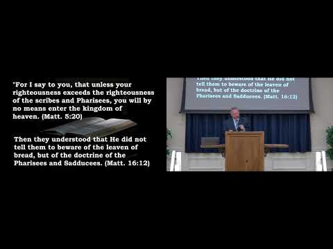 Video preview