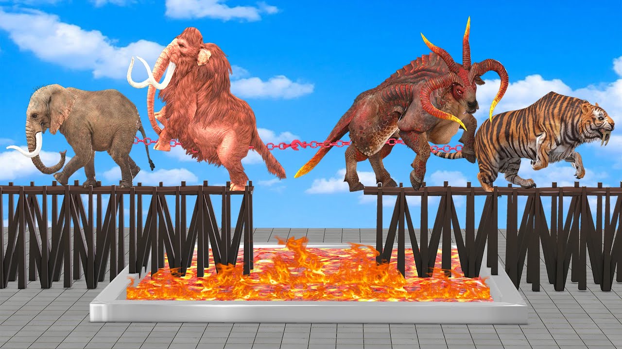 Tug of War Woolly Mammoth Elephant Vs Giant Tiger Bull - Lava Pool - Animal Revolt Battle Simulator