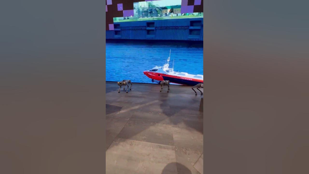 Роботы 🤖 собаки 🐕 устроили рейв 💃🕺🪩 #robots #робот #приколы #собака # ...