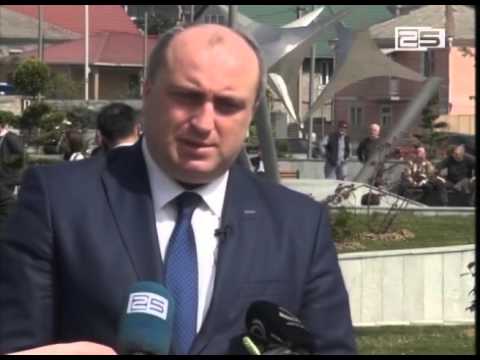 მედეა ვასაძე აჭარის მთავრობისა და უმაღლესი საბჭოს თავმჯდომარეს მიმართავს