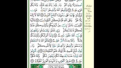 الصفحة (557) من المصحف الشريف ( سورة التغابن - مشروع حفظ القرآن الكريم )