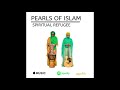 Pearls of islam  spiritual refugee  official audio