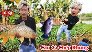 Cáo Ca - Câu Được Chép Khủng Và Đàn Cá Sộp Bằng Cần Sịn || Hậu Cáo Câu Cá