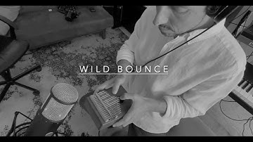 Wild Bounce - Kalimba, Prophet 10 and piano