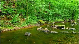 Stress Free - Relaxation Sounds for Positive Thinking - Calm and Relax. The sound of a stream.