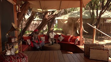 Meet Anwar – Samburu’s Gentle Giant | Up-Close with Wildlife at Soroi Larsens Camp