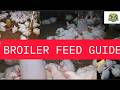 Broiler Feeding Schedule from Day 1 to 6 Weeks (Starter, Grower &amp; Finisher Explained)